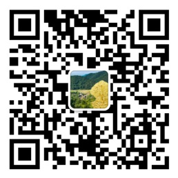 通比牛牛官网